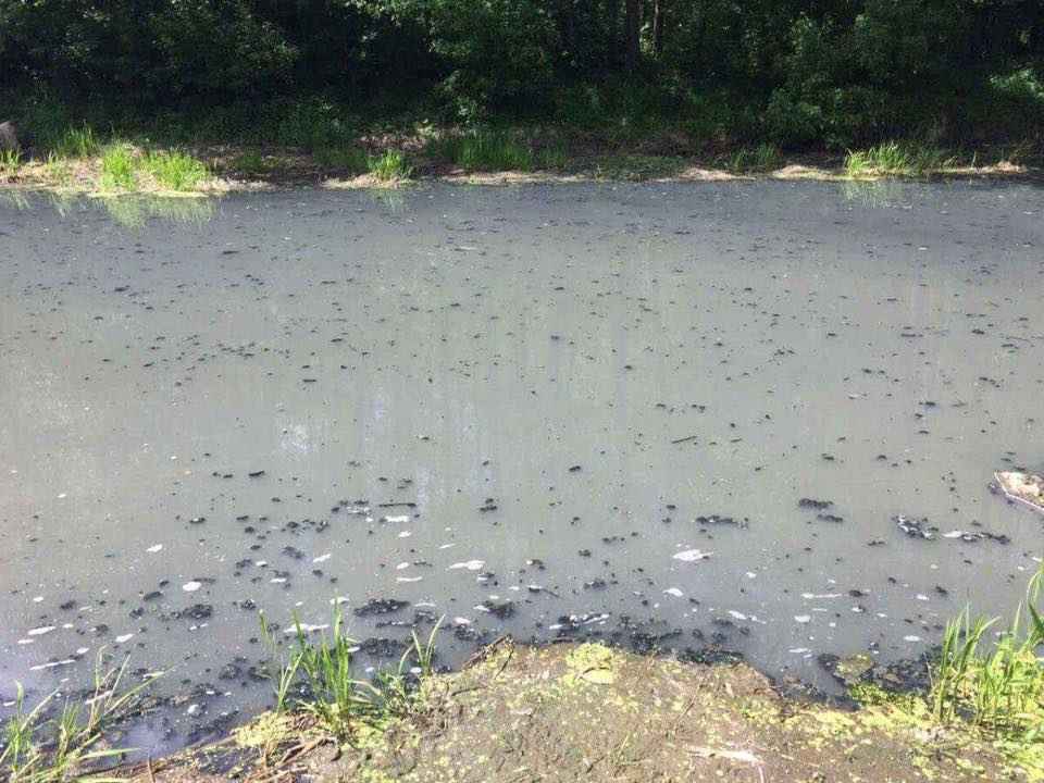 Річка Хомора